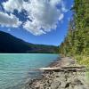 Cheakamus lake trail