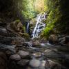 Big Cedar and Kennedy Falls trail