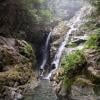 Big Cedar and Kennedy Falls