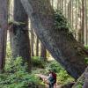 Juan de Fuca Trail