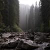 Tulameen Falls Trail