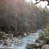 Shannon Falls Trail