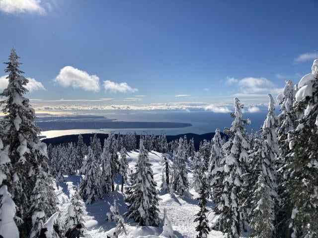 Hollyburn Peak Trail