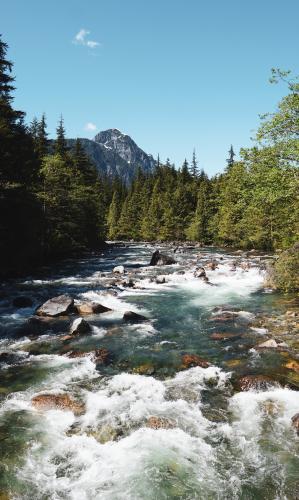 Golden Ears Canyon Loop