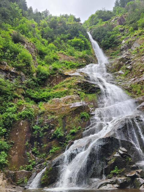 Flood Falls