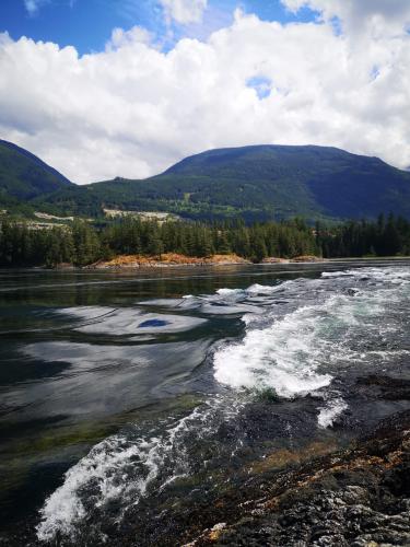 Skookumchuck Narrows