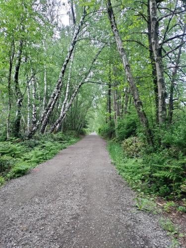 Shell Road Trail