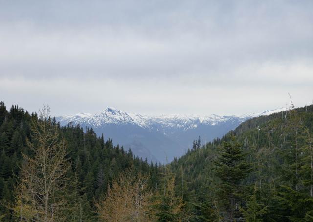 The North SHore -Eagle Bluffs