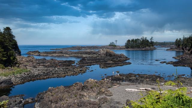 Wild Pacific Trail