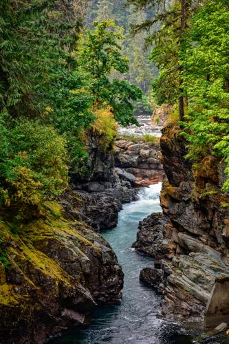 Stamp Falls Trail