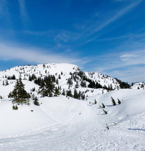 Pump Peak Trail