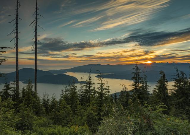 Bowen Lookout Trail