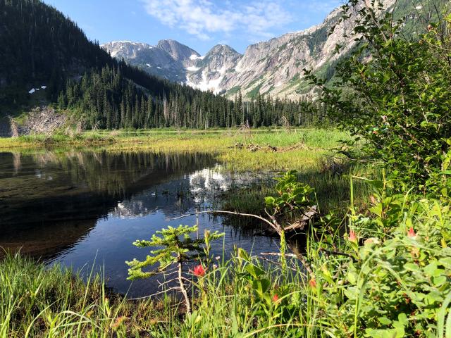 Little Douglas Lake Photo | Hiking Photo Contest | Vancouver Trails