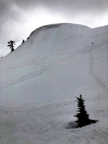 Mount Seymour