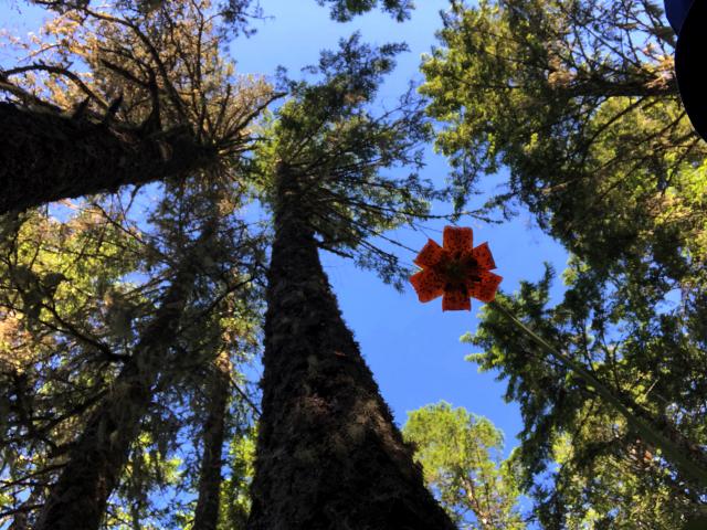 Sunshine Coast Trail