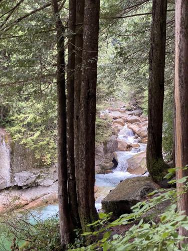 GOLD CREEK FALLS