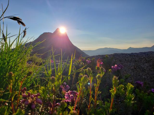 Needle Peak