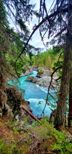 Whistler Trainwreck And Millar Creek Trail