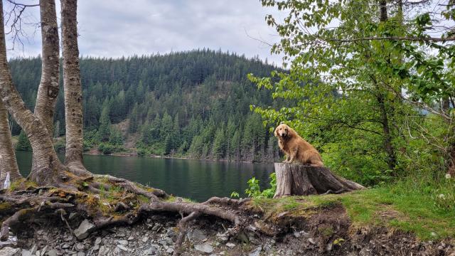 Diez Vistas  And Lake Buntzen Loop