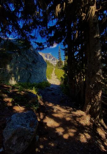 Blackcomb Lake Trail