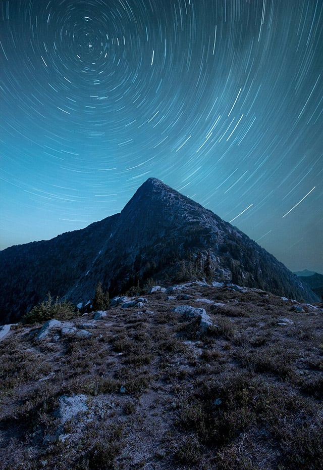 Mt Webb Saddle Trail