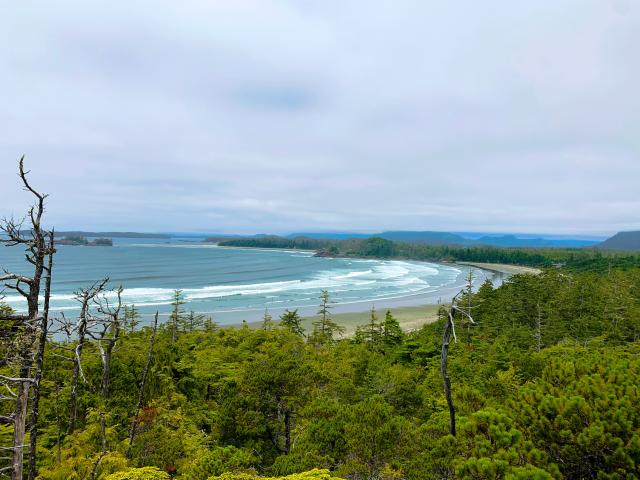 Long Beach Lookout