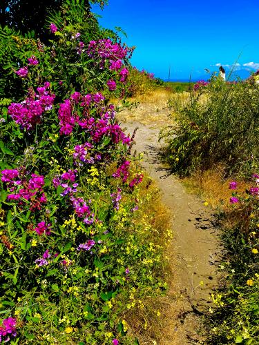 Garry Point Trail