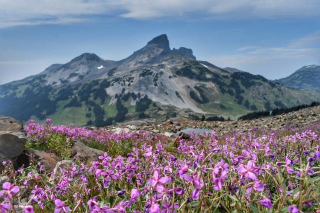 Panorama Ridge