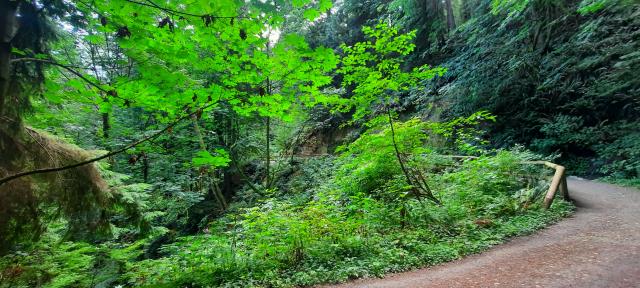 Velodrome Trail