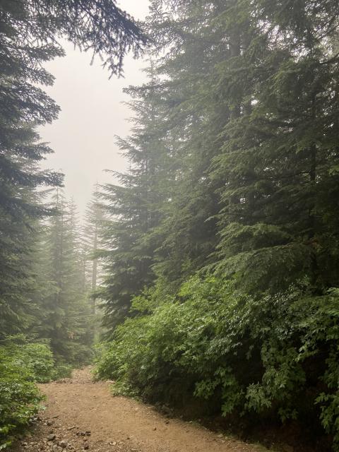 Eagle Ridge Bluffs VIA Black Mountain Trail