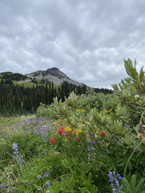 Black Tusk Trail