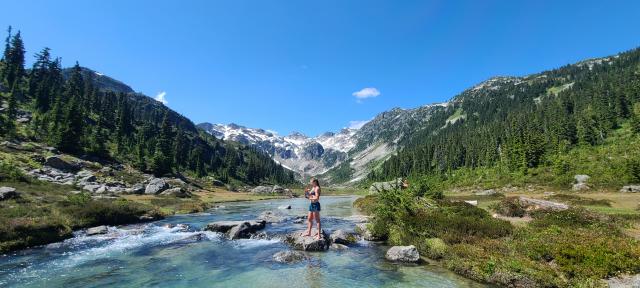 Brandywine Meadows