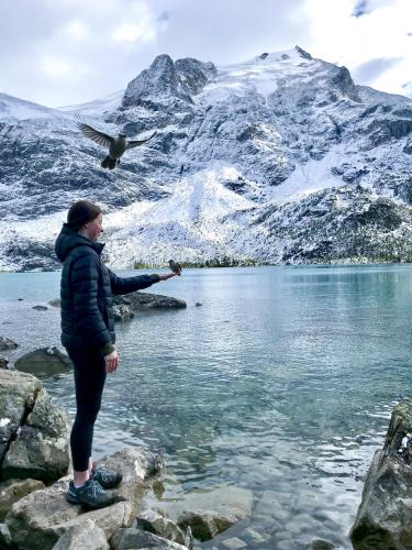 Joffre Lakes