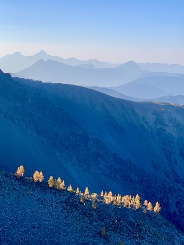 Frosty Mountain