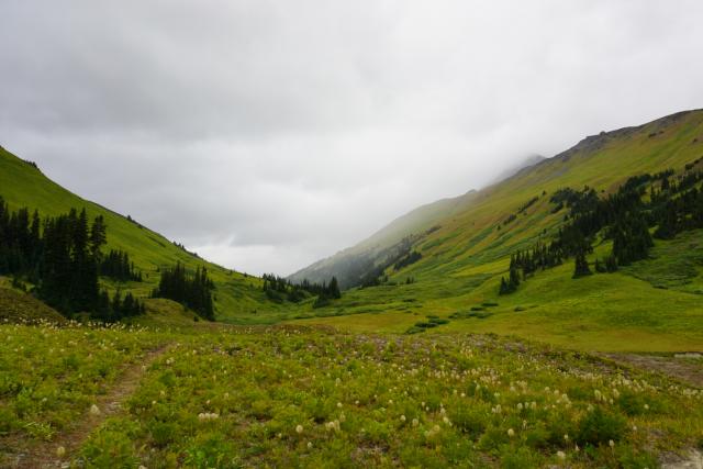 Somewhere In The Chilcotin Mountains