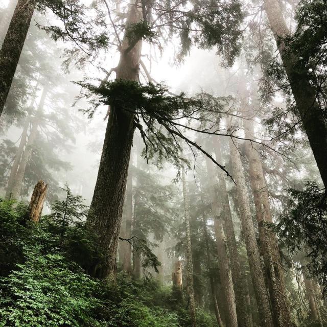 St. Marks/Howe Sound Crest Trail