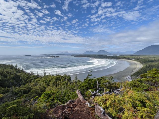 Cox Bay Lookout