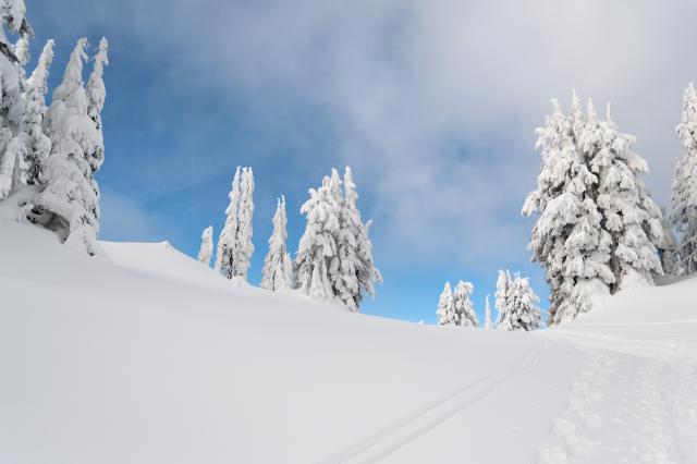 Elfin Lakes