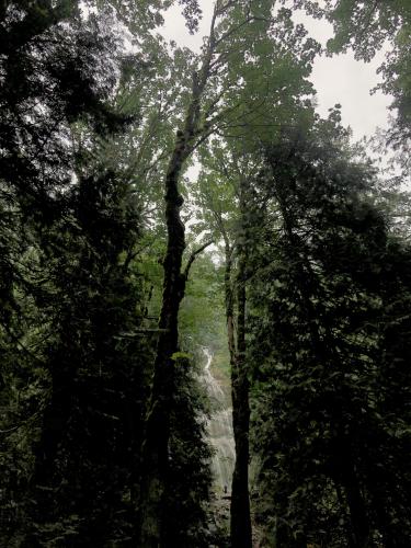 Bridal Veil