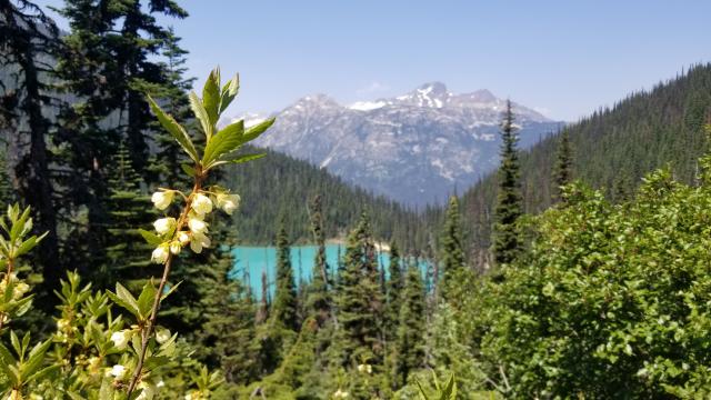 Joffre Lake