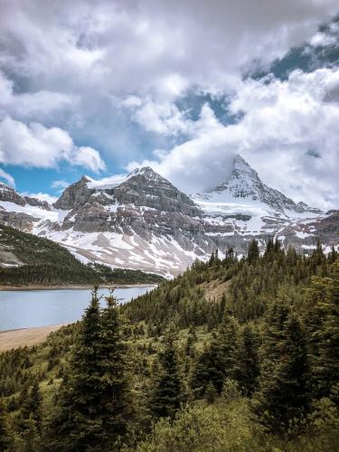 Mount Assiniboine Trail