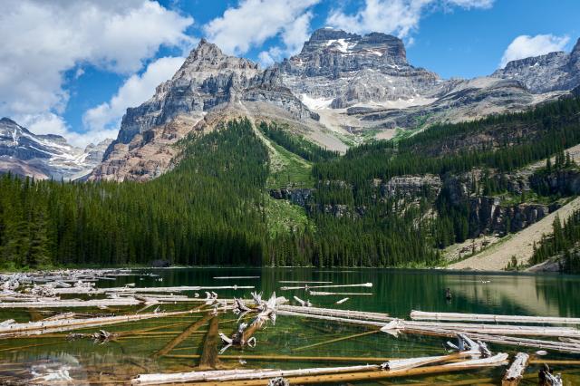 Assiniboine Lake