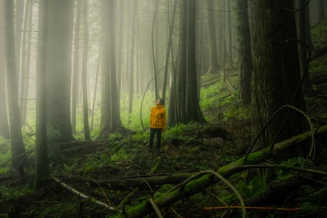 Elk Mountain Trail