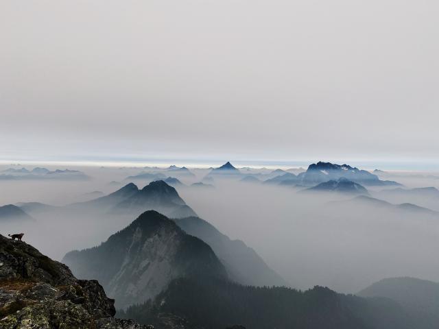 Golden Ears Trail