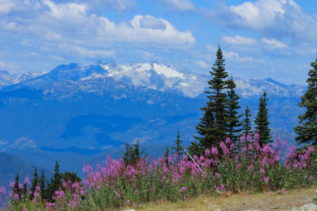 Alpine Loop