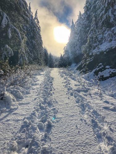 Hunter Road Trail