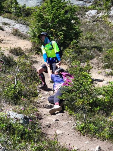 Needle Peak Trail