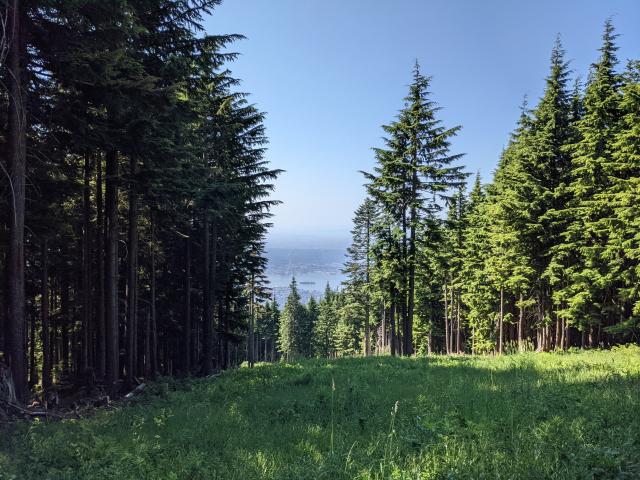 Grouse Mountain Disc Golf Course