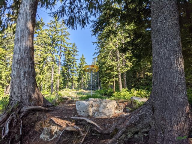 Grouse Mountain Disc Golf Course