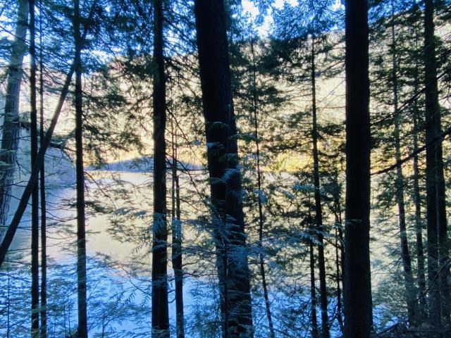 Bunsen Lake Trail